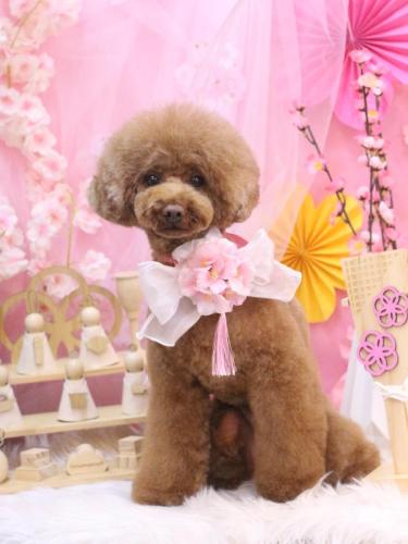 20250309ろこちゃん